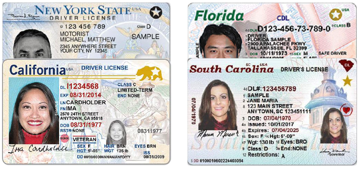REAL ID License Samples